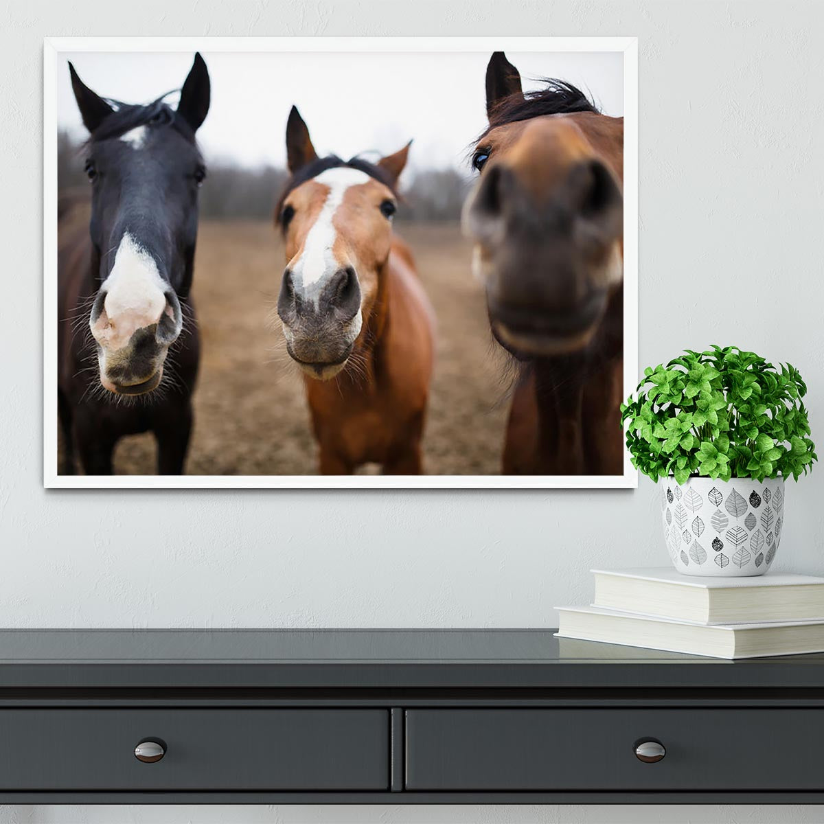 Wild horses on the meadow at spring time Framed Print - Canvas Art Rocks -6