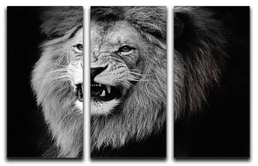 Wild lion portrait in black and white. 3 Split Panel Canvas Print - Canvas Art Rocks - 1