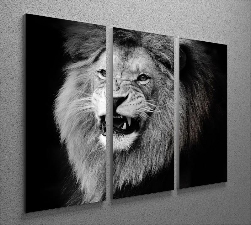 Wild lion portrait in black and white. 3 Split Panel Canvas Print - Canvas Art Rocks - 2