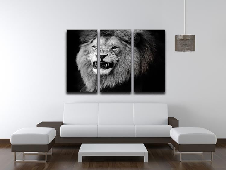 Wild lion portrait in black and white. 3 Split Panel Canvas Print - Canvas Art Rocks - 3