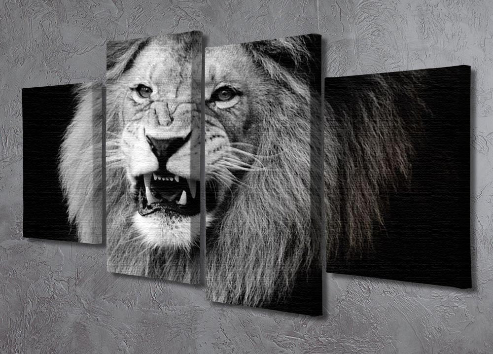 Wild lion portrait in black and white. 4 Split Panel Canvas - Canvas Art Rocks - 2