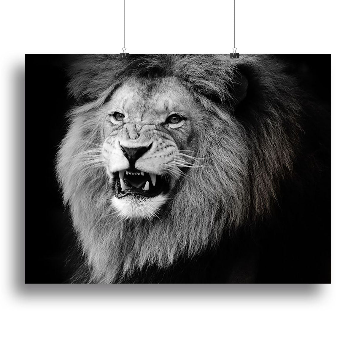 Wild lion portrait in black and white. Canvas Print or Poster - Canvas Art Rocks - 2