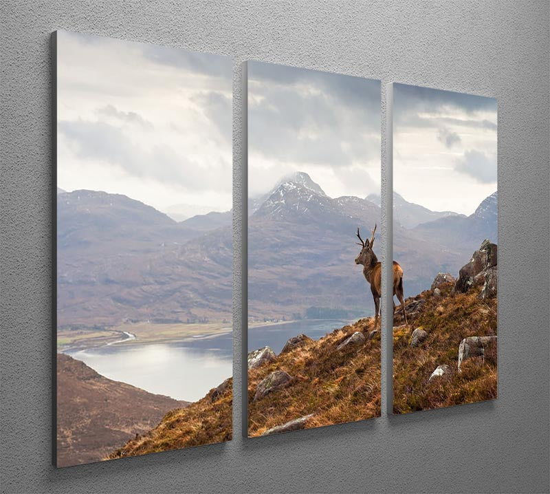 Wild stag overlooking Loch Torridon 3 Split Panel Canvas Print - Canvas Art Rocks - 2