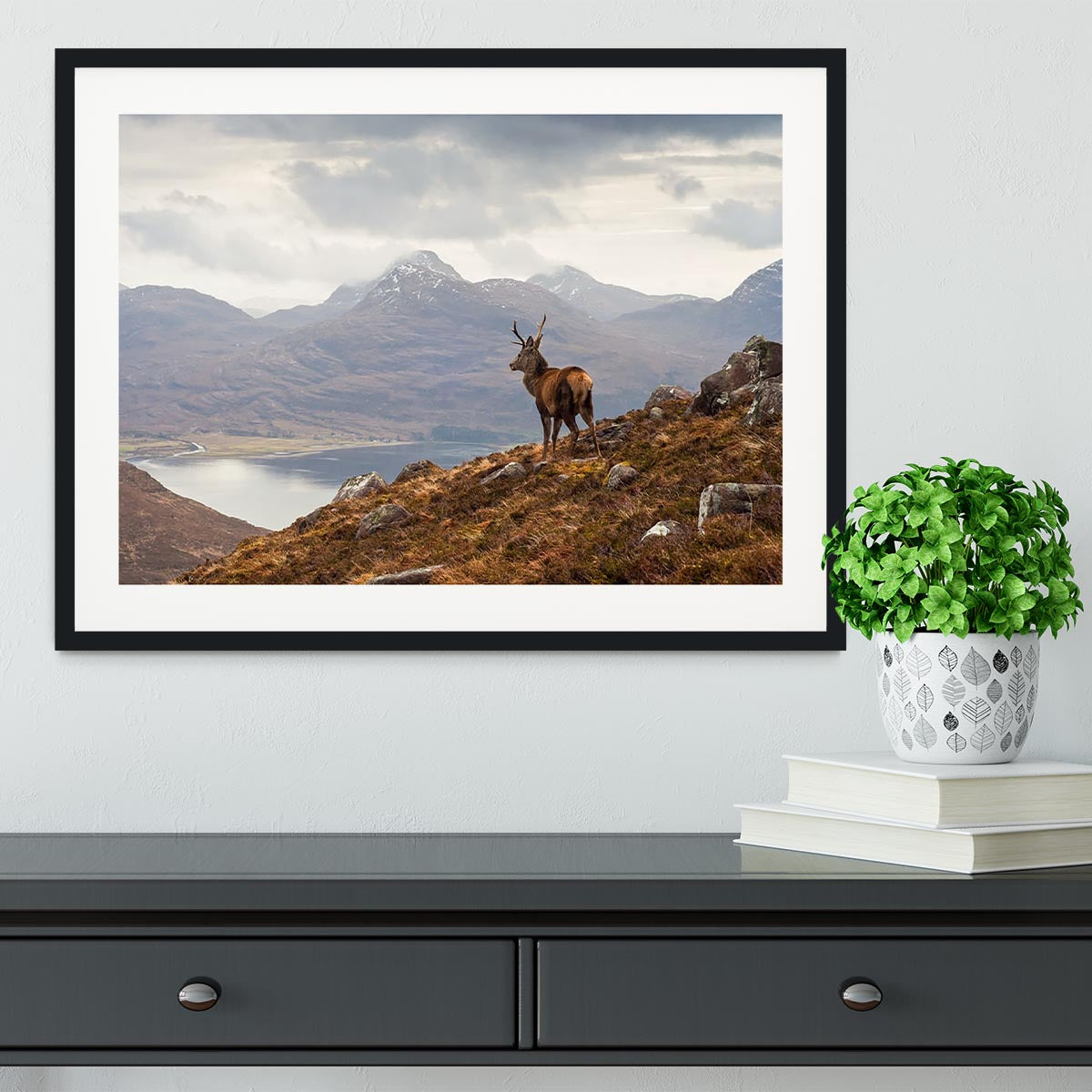 Wild stag overlooking Loch Torridon Framed Print - Canvas Art Rocks - 1