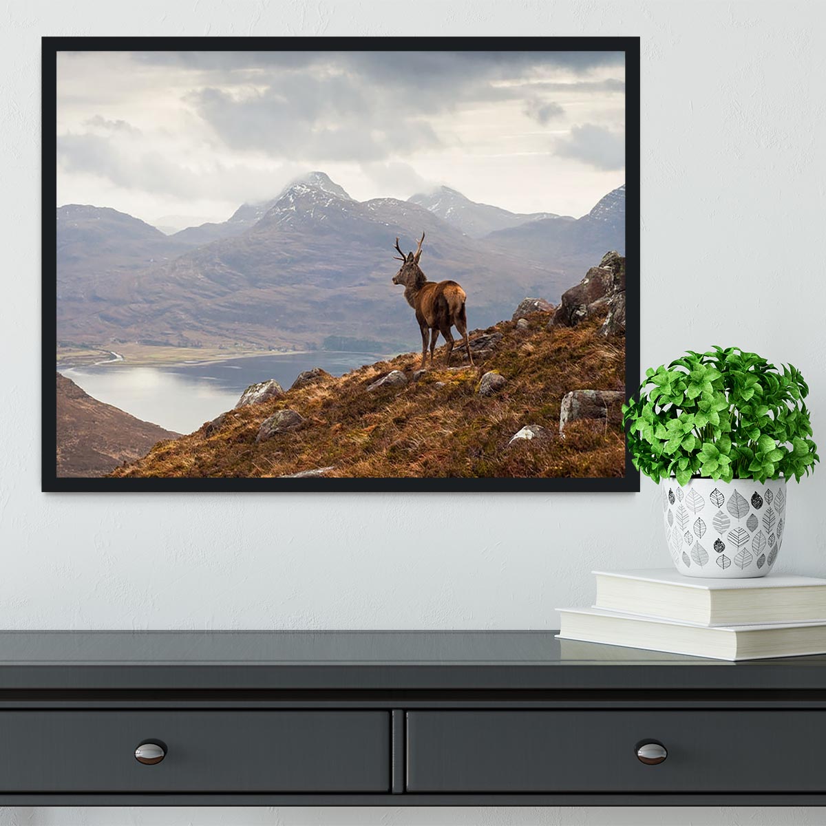 Wild stag overlooking Loch Torridon Framed Print - Canvas Art Rocks - 2