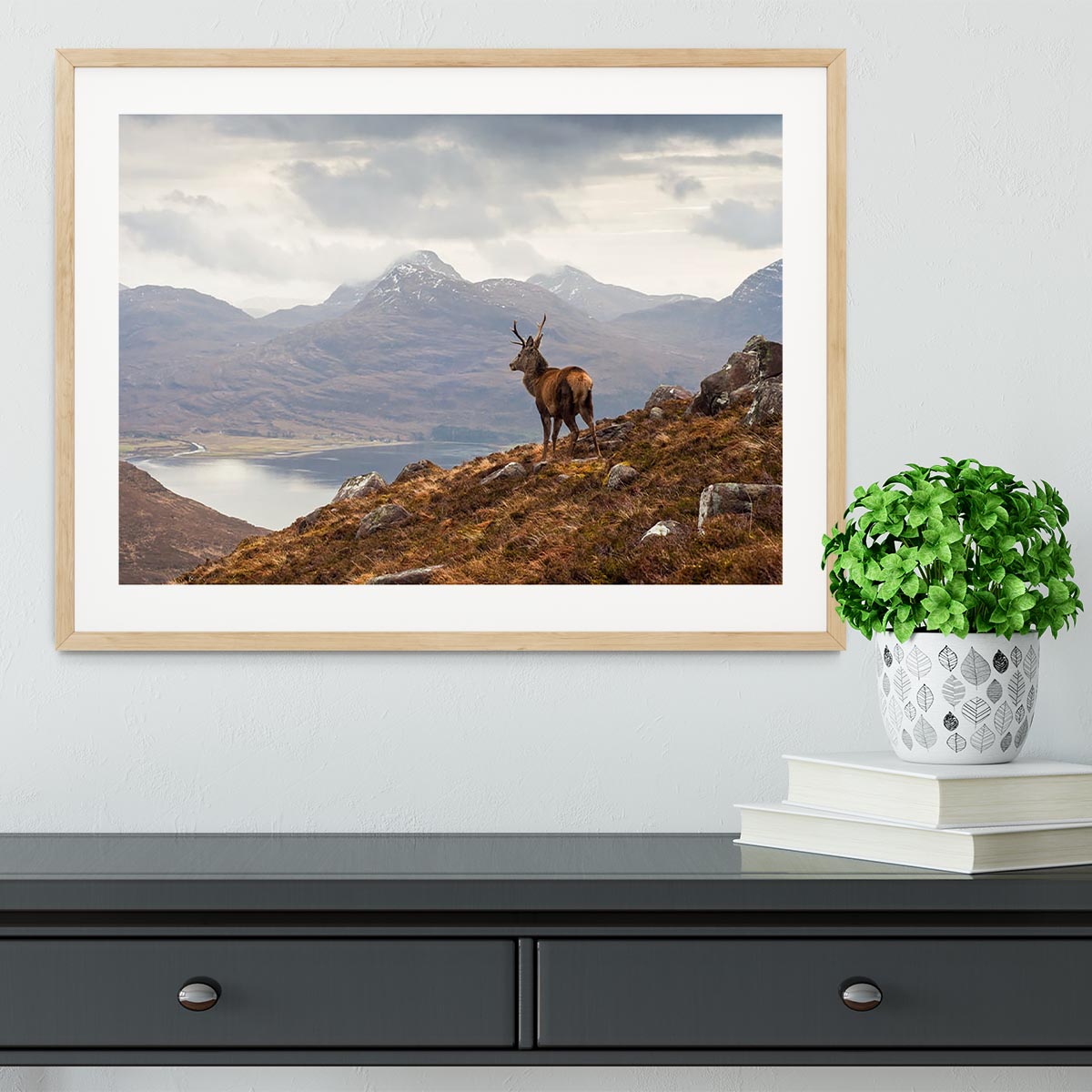 Wild stag overlooking Loch Torridon Framed Print - Canvas Art Rocks - 3