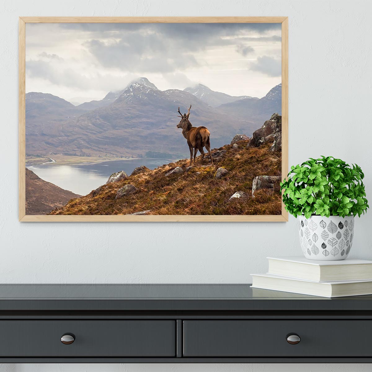 Wild stag overlooking Loch Torridon Framed Print - Canvas Art Rocks - 4