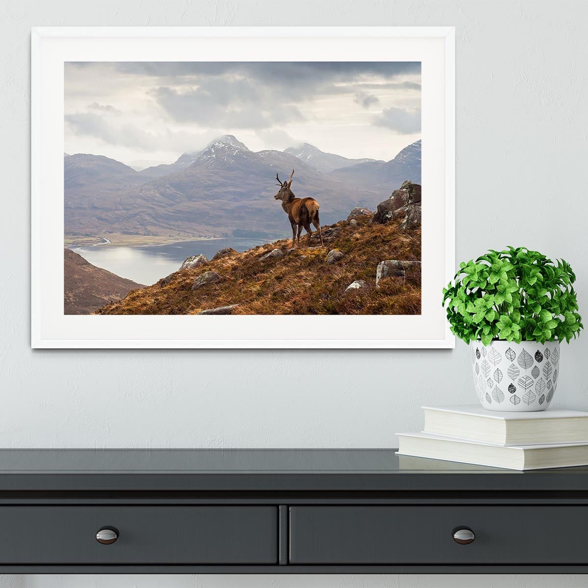 Wild stag overlooking Loch Torridon Framed Print - Canvas Art Rocks - 5