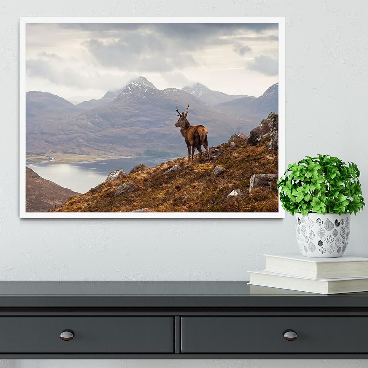Wild stag overlooking Loch Torridon Framed Print - Canvas Art Rocks -6