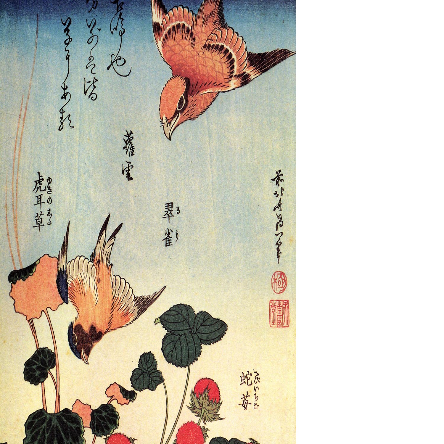 Wild strawberries and birds by Hokusai Floating Framed Canvas