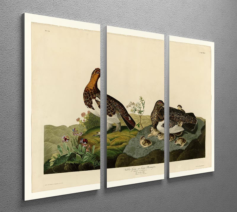 Willow Grouse by Audubon 3 Split Panel Canvas Print - Canvas Art Rocks - 2
