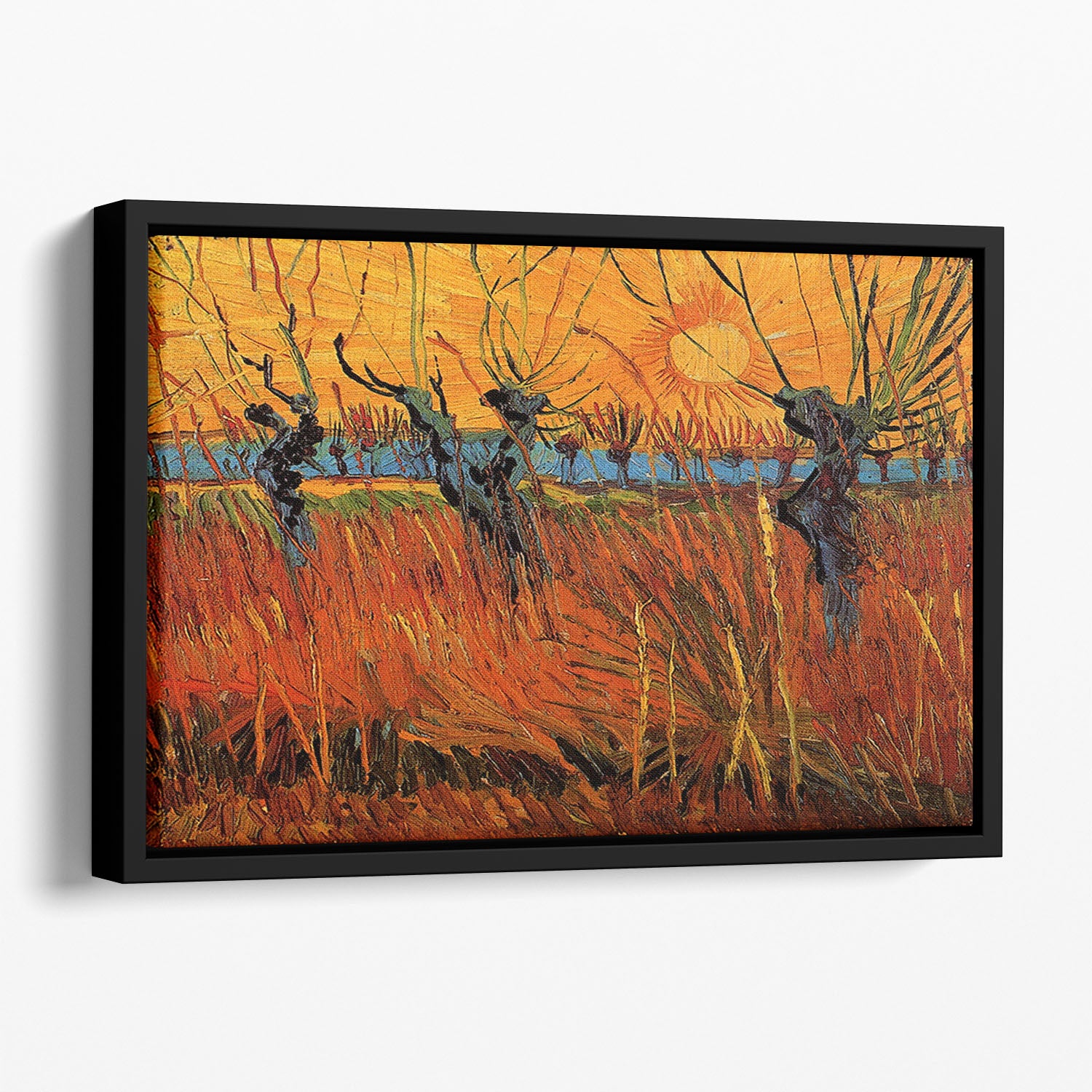 Willows at Sunset by Van Gogh Floating Framed Canvas