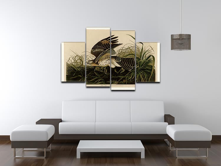 Winter Hawk by Audubon 4 Split Panel Canvas - Canvas Art Rocks - 3