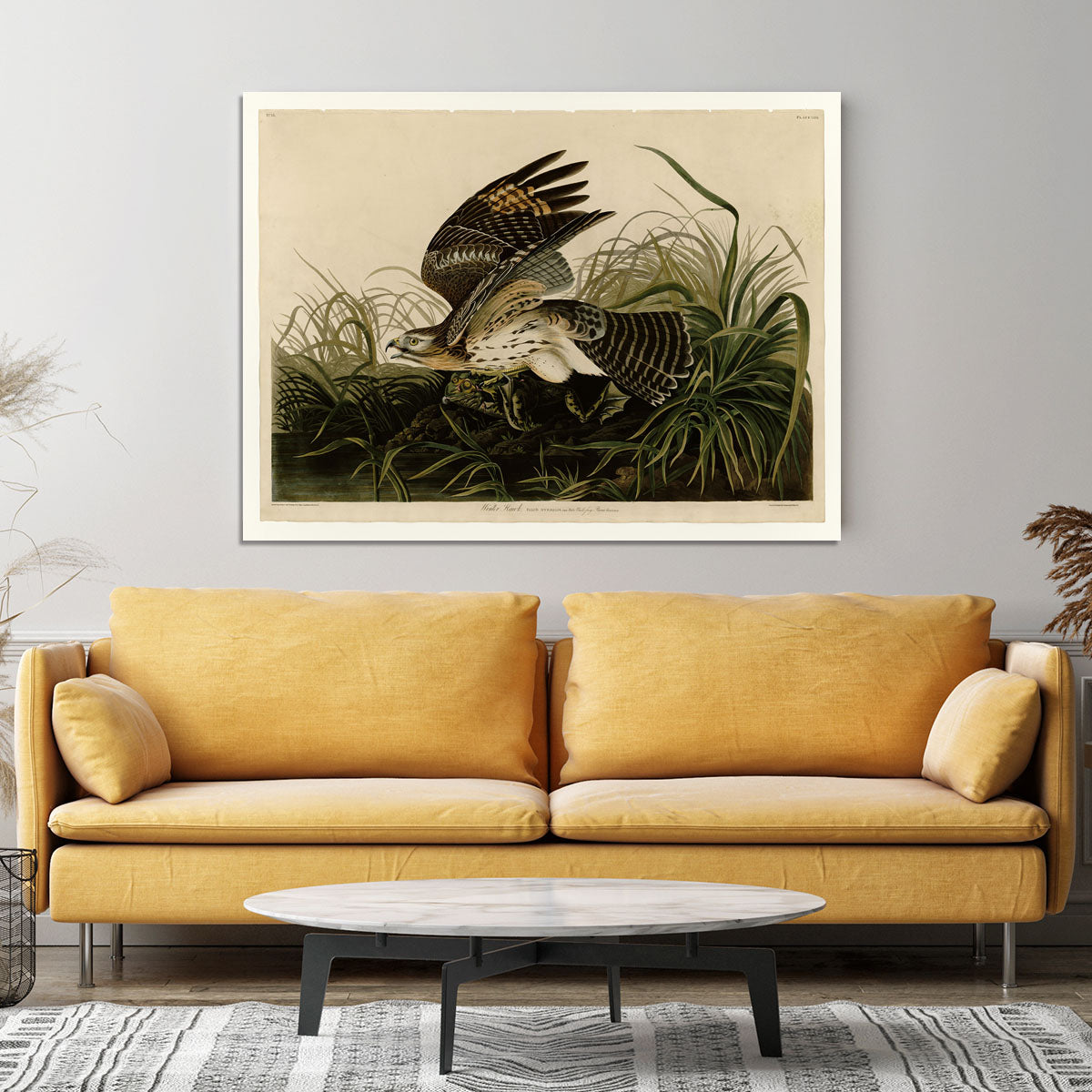 Winter Hawk by Audubon Canvas Print or Poster - Canvas Art Rocks - 4