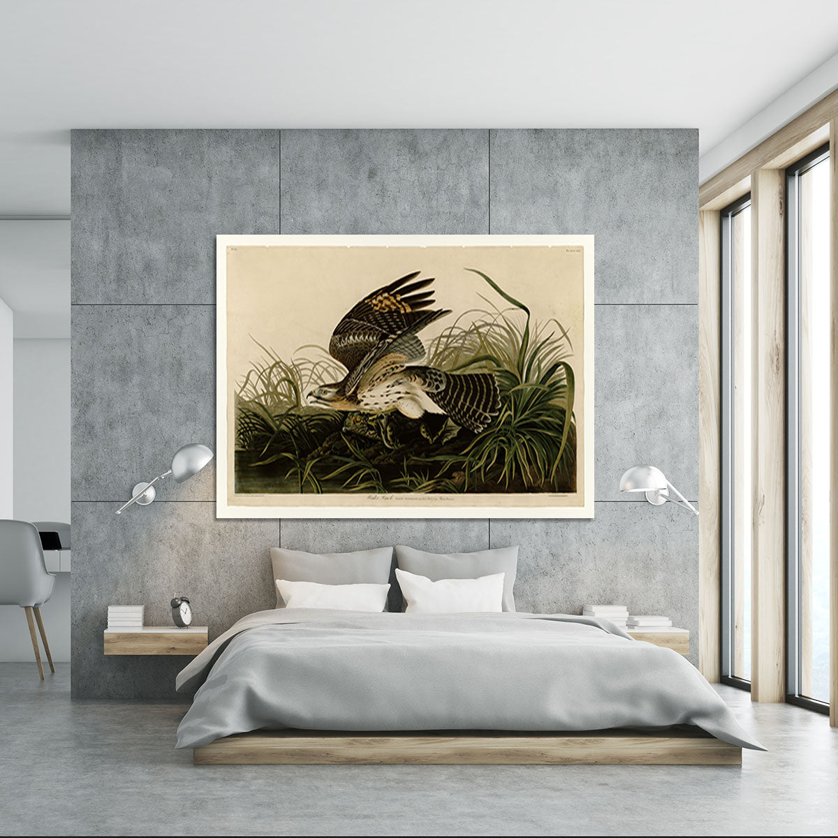 Winter Hawk by Audubon Canvas Print or Poster - Canvas Art Rocks - 5