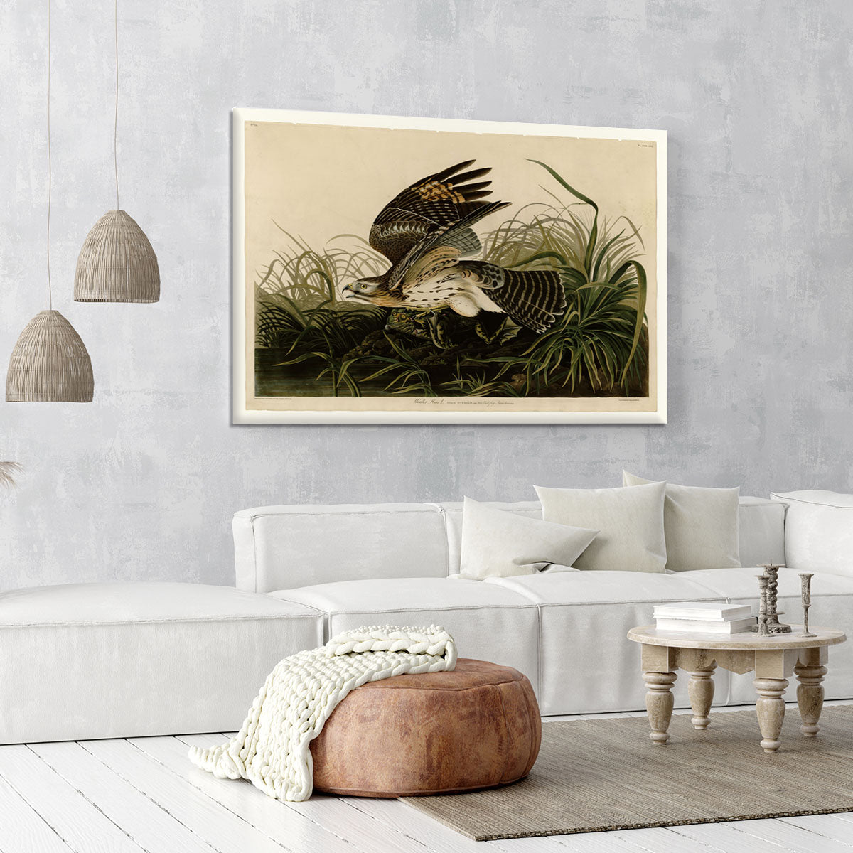 Winter Hawk by Audubon Canvas Print or Poster - Canvas Art Rocks - 6