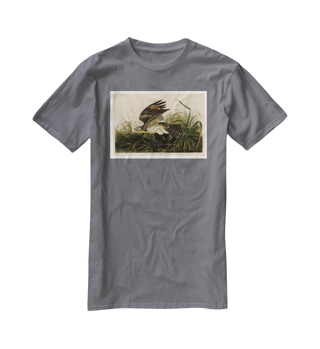 Winter Hawk by Audubon T-Shirt - Canvas Art Rocks - 3
