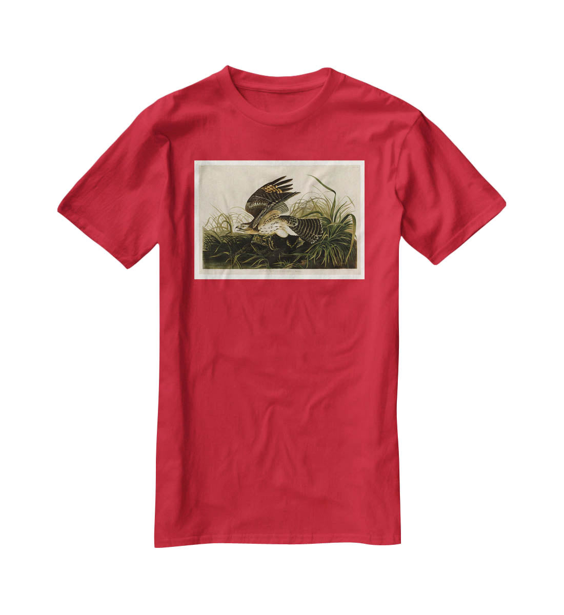 Winter Hawk by Audubon T-Shirt - Canvas Art Rocks - 4
