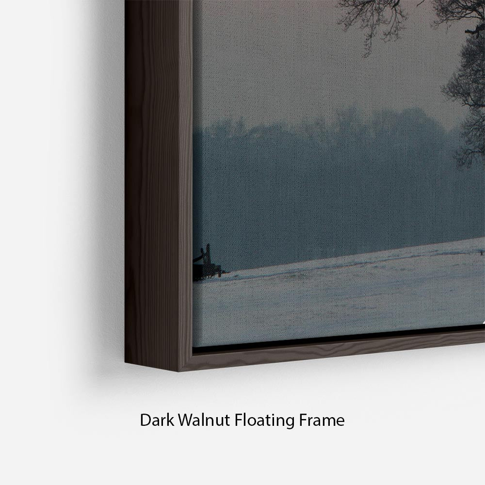 Winter Sunset Floating Frame Canvas - Canvas Art Rocks - 6