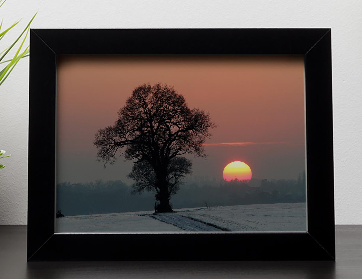 Winter Sunset Framed Print - Canvas Art Rocks - 2
