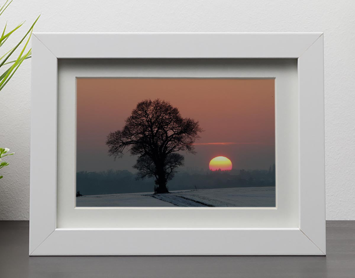Winter Sunset Framed Print - Canvas Art Rocks - 3