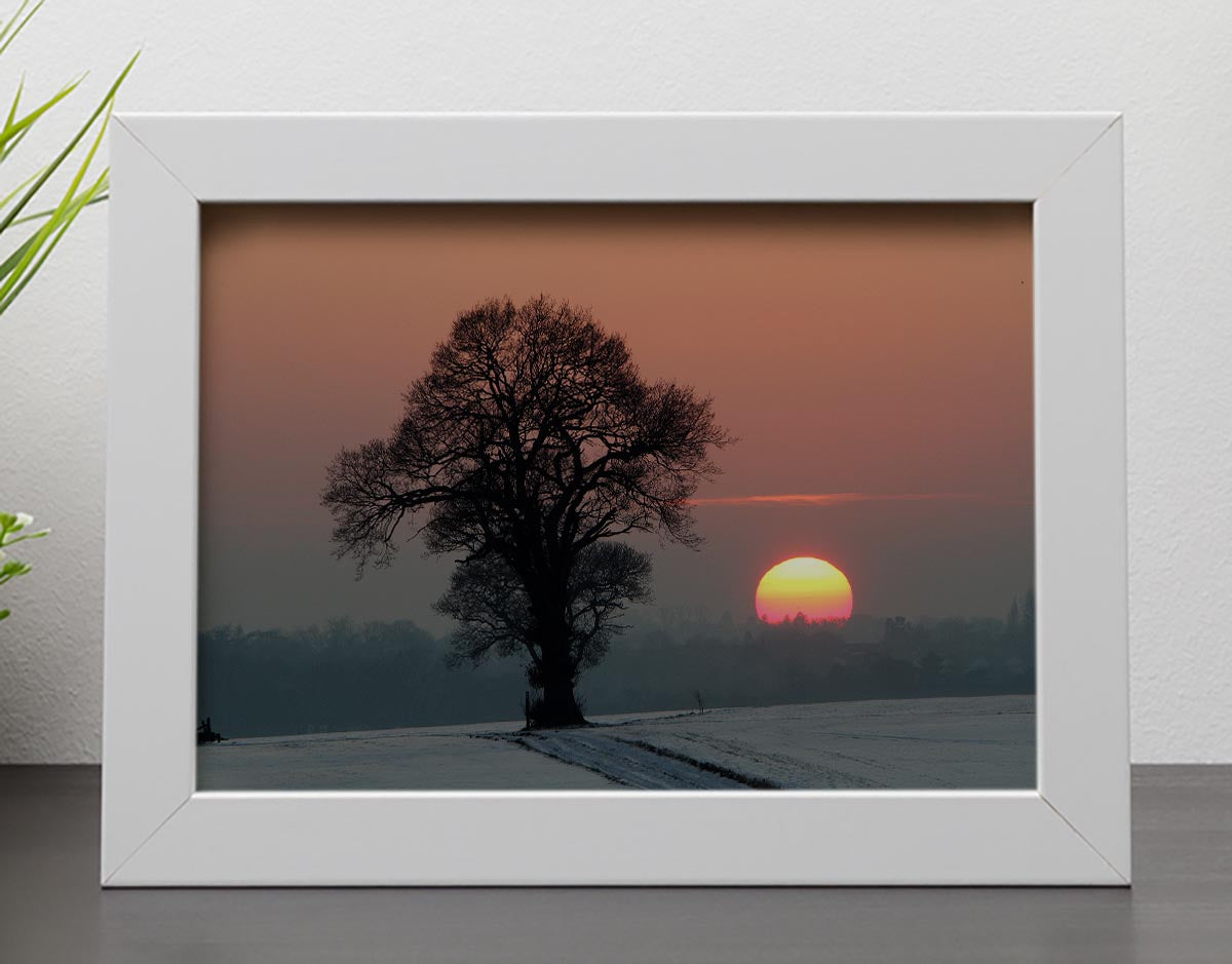 Winter Sunset Framed Print - Canvas Art Rocks - 4