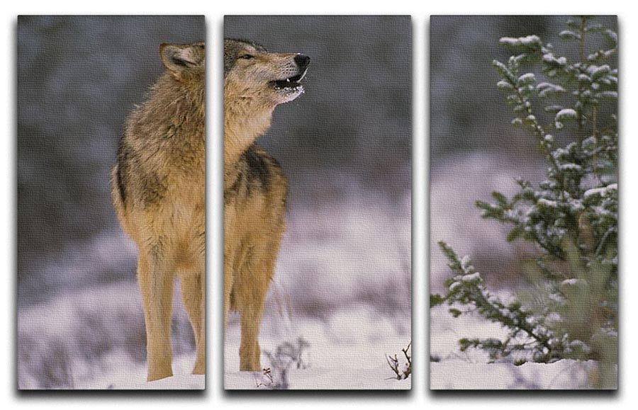 Wolf Howling in Snow 3 Split Panel Canvas Print - Canvas Art Rocks - 1
