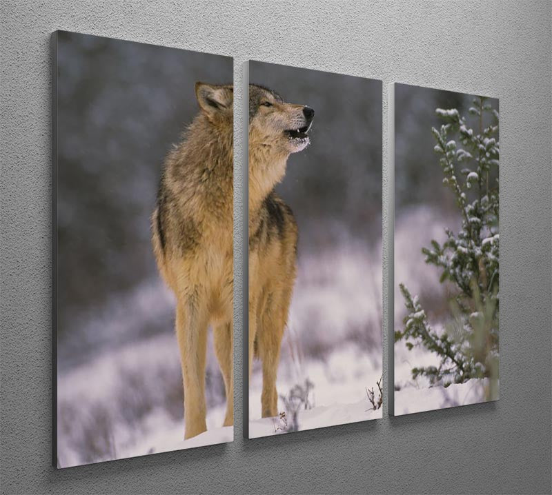 Wolf Howling in Snow 3 Split Panel Canvas Print - Canvas Art Rocks - 2