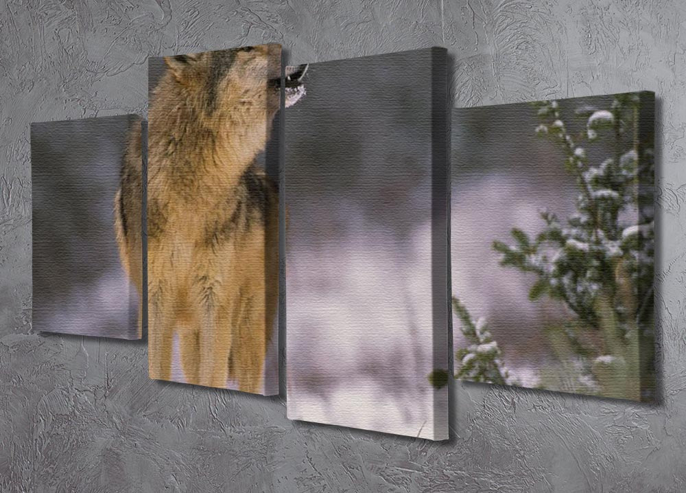 Wolf Howling in Snow 4 Split Panel Canvas - Canvas Art Rocks - 2