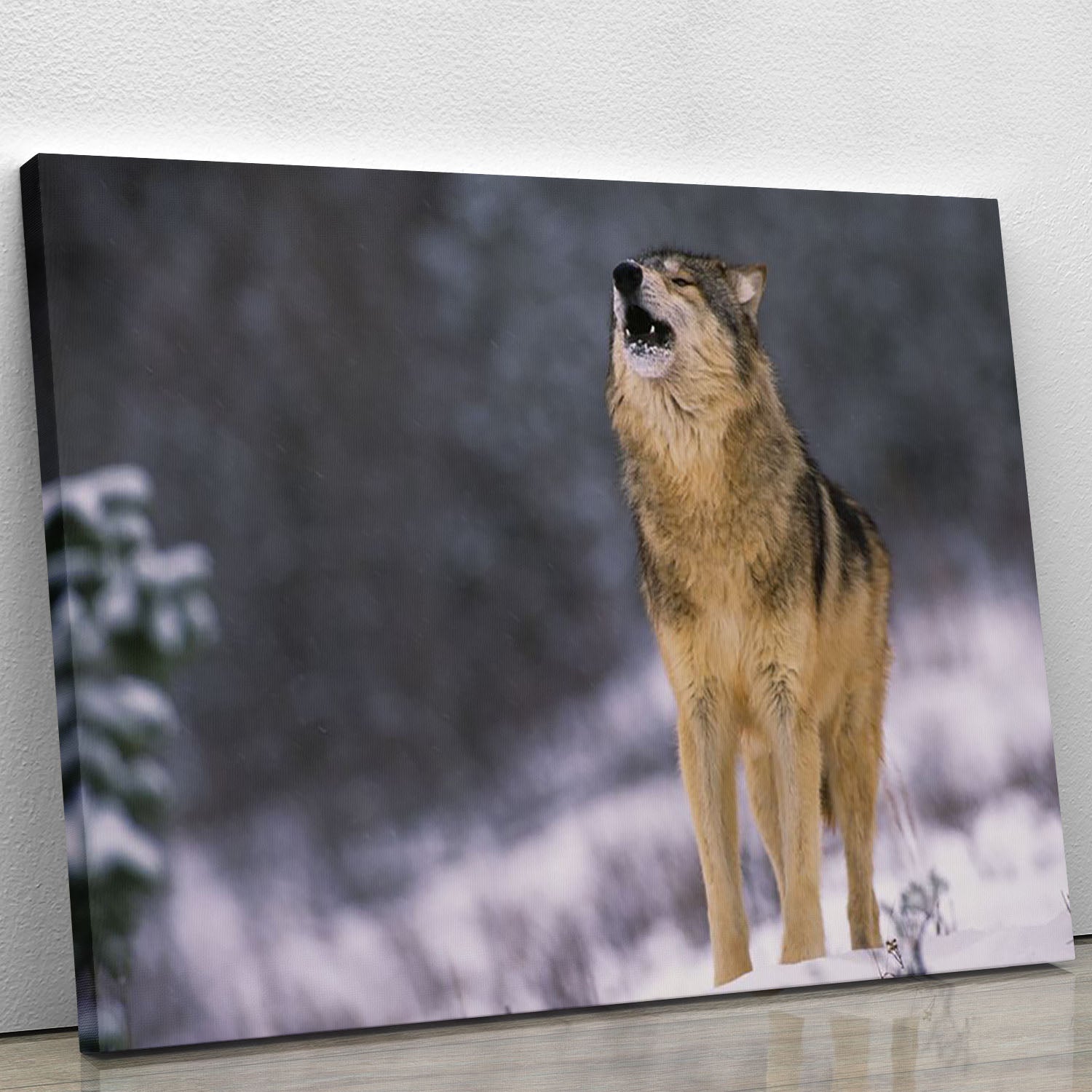 Wolf Howling in White Snow Canvas Print or Poster - Canvas Art Rocks - 1