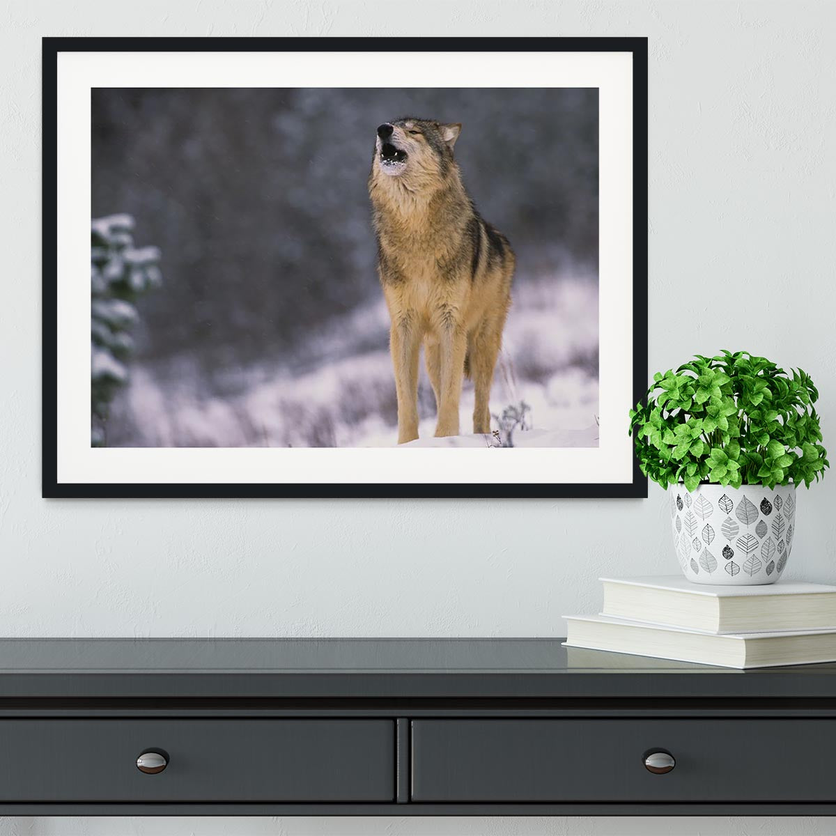Wolf Howling in White Snow Framed Print - Canvas Art Rocks - 1