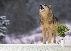Wolf Howling in White Snow Wall Mural Wallpaper - Canvas Art Rocks - 4