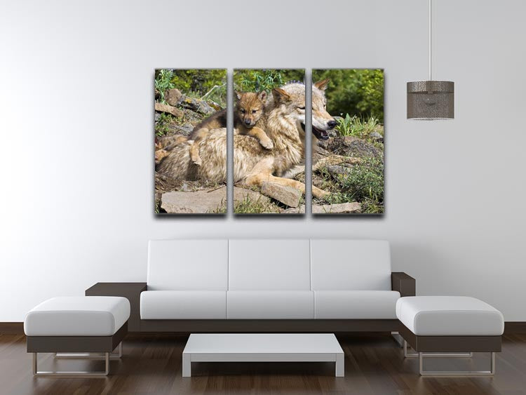 Wolf cubs and mother at den site 3 Split Panel Canvas Print - Canvas Art Rocks - 3