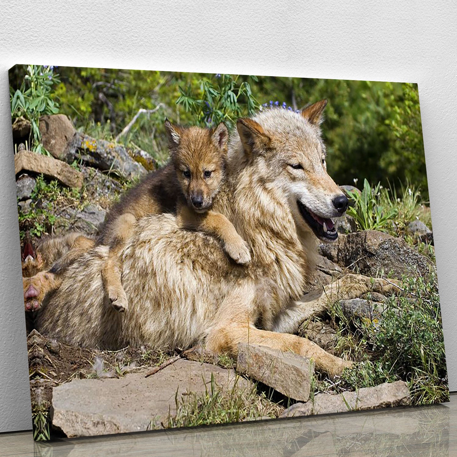 Wolf cubs and mother at den site Canvas Print or Poster - Canvas Art Rocks - 1