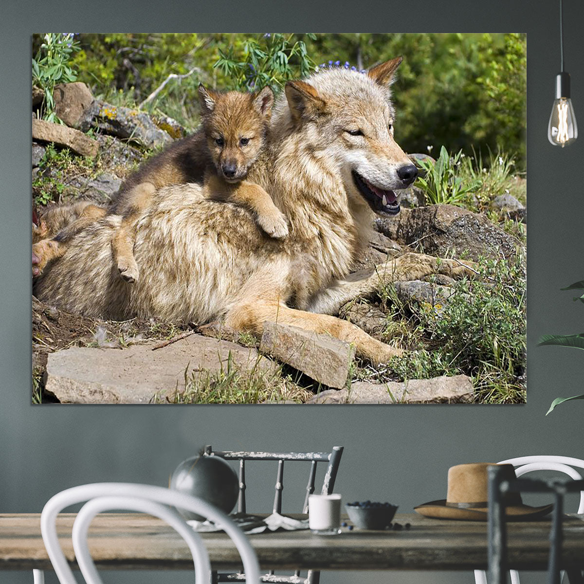 Wolf cubs and mother at den site Canvas Print or Poster - Canvas Art Rocks - 3