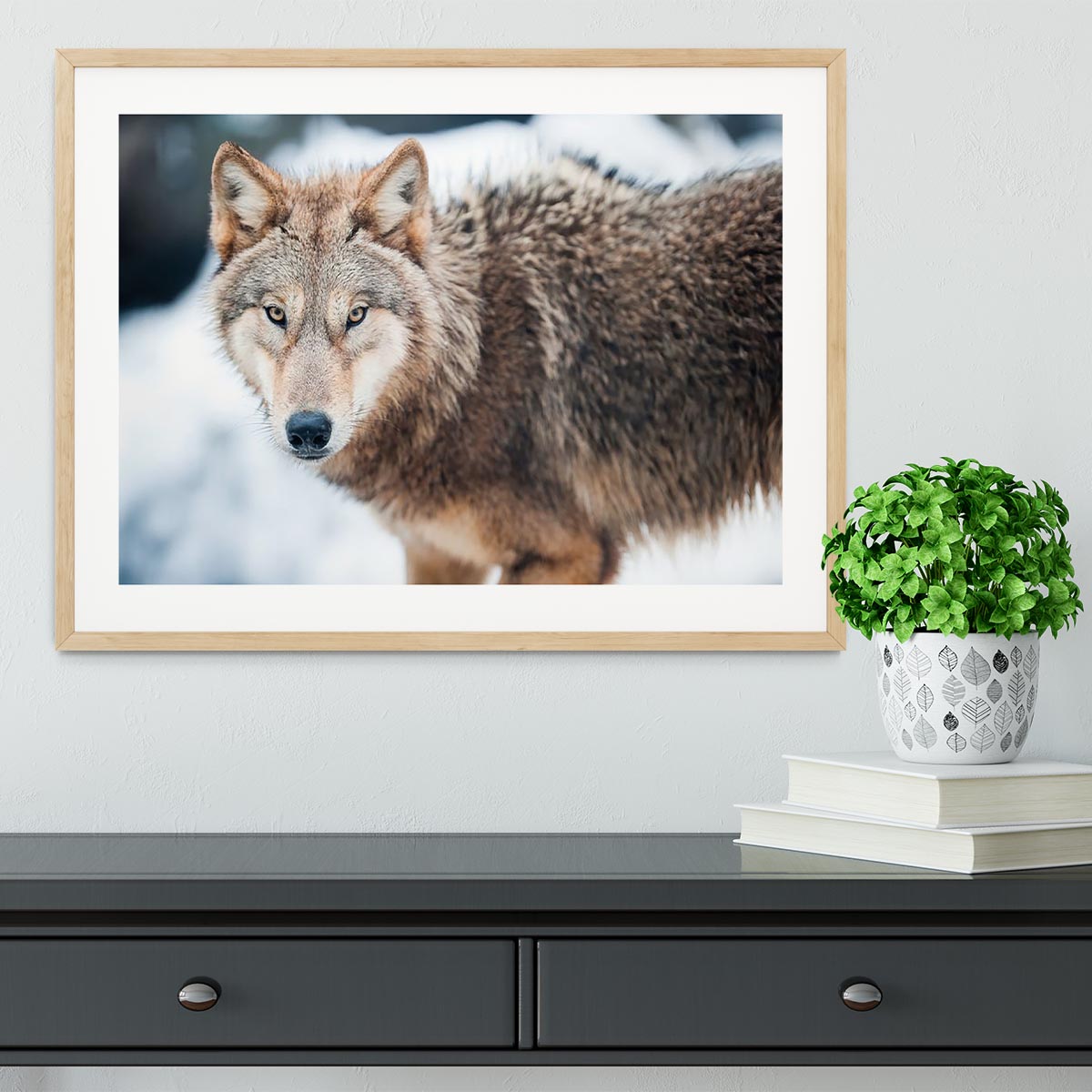 Wolf standing in the snow Framed Print - Canvas Art Rocks - 3