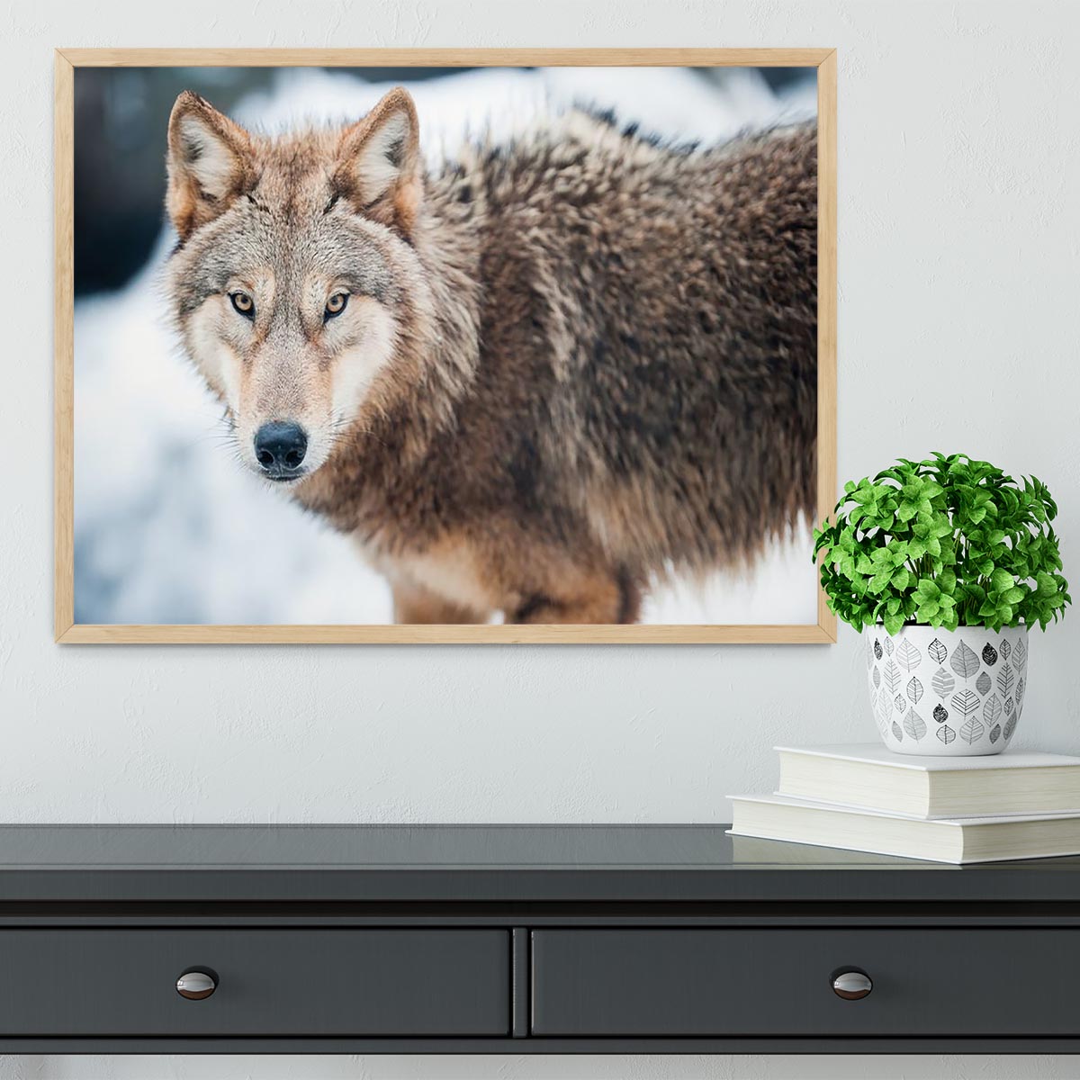 Wolf standing in the snow Framed Print - Canvas Art Rocks - 4