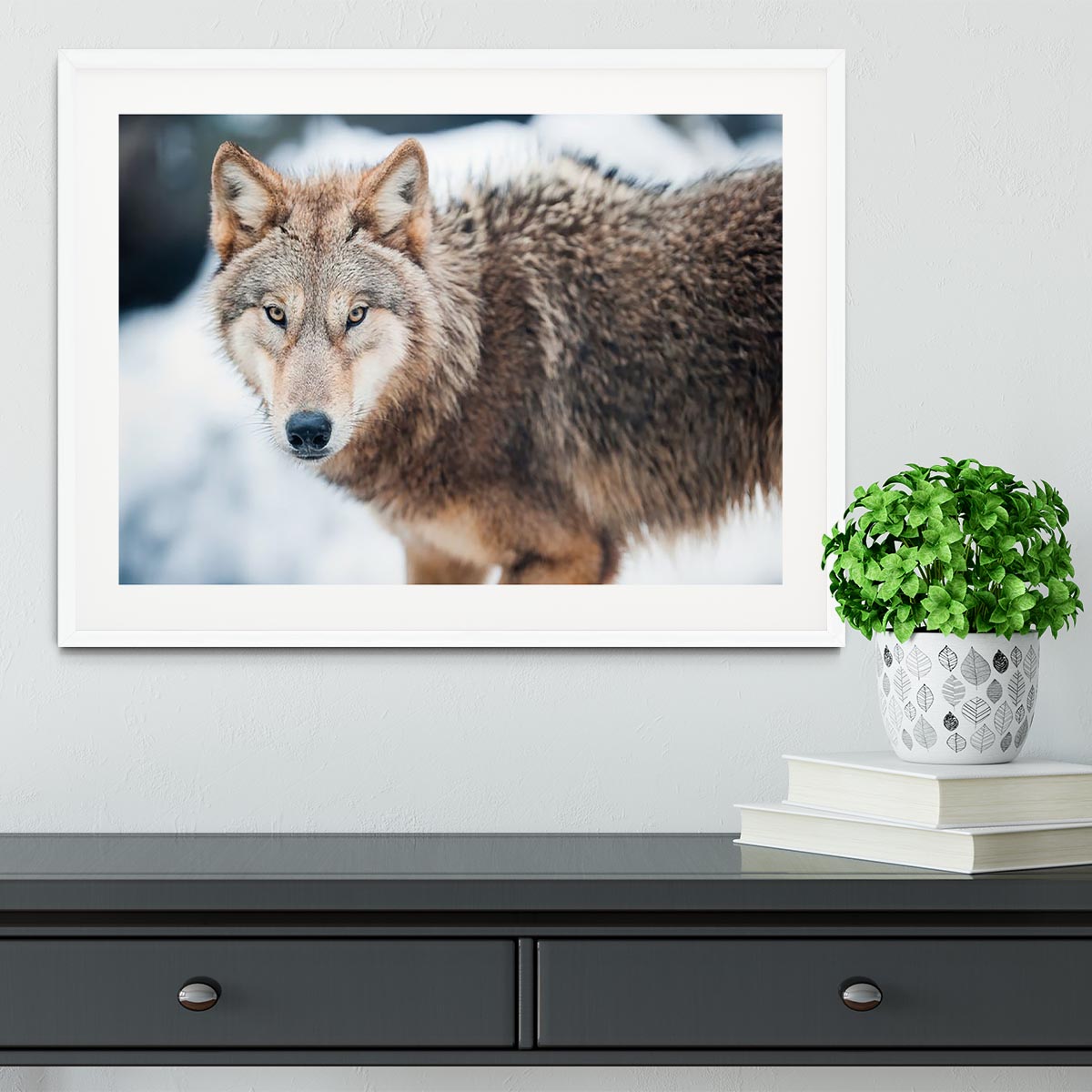 Wolf standing in the snow Framed Print - Canvas Art Rocks - 5