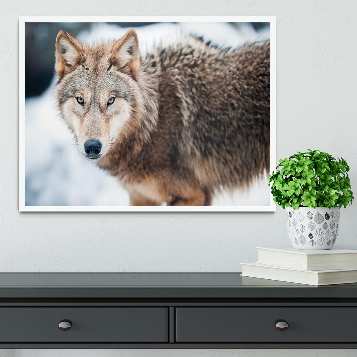 Wolf standing in the snow Framed Print - Canvas Art Rocks -6