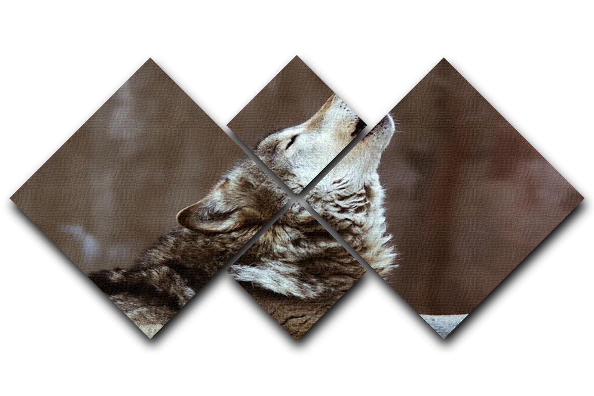 Wolves howl in Moscow Zoo 4 Square Multi Panel Canvas - Canvas Art Rocks - 1