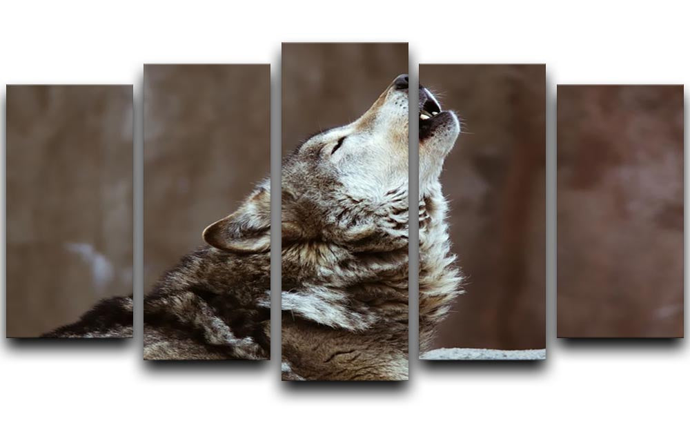 Wolves howl in Moscow Zoo 5 Split Panel Canvas - Canvas Art Rocks - 1