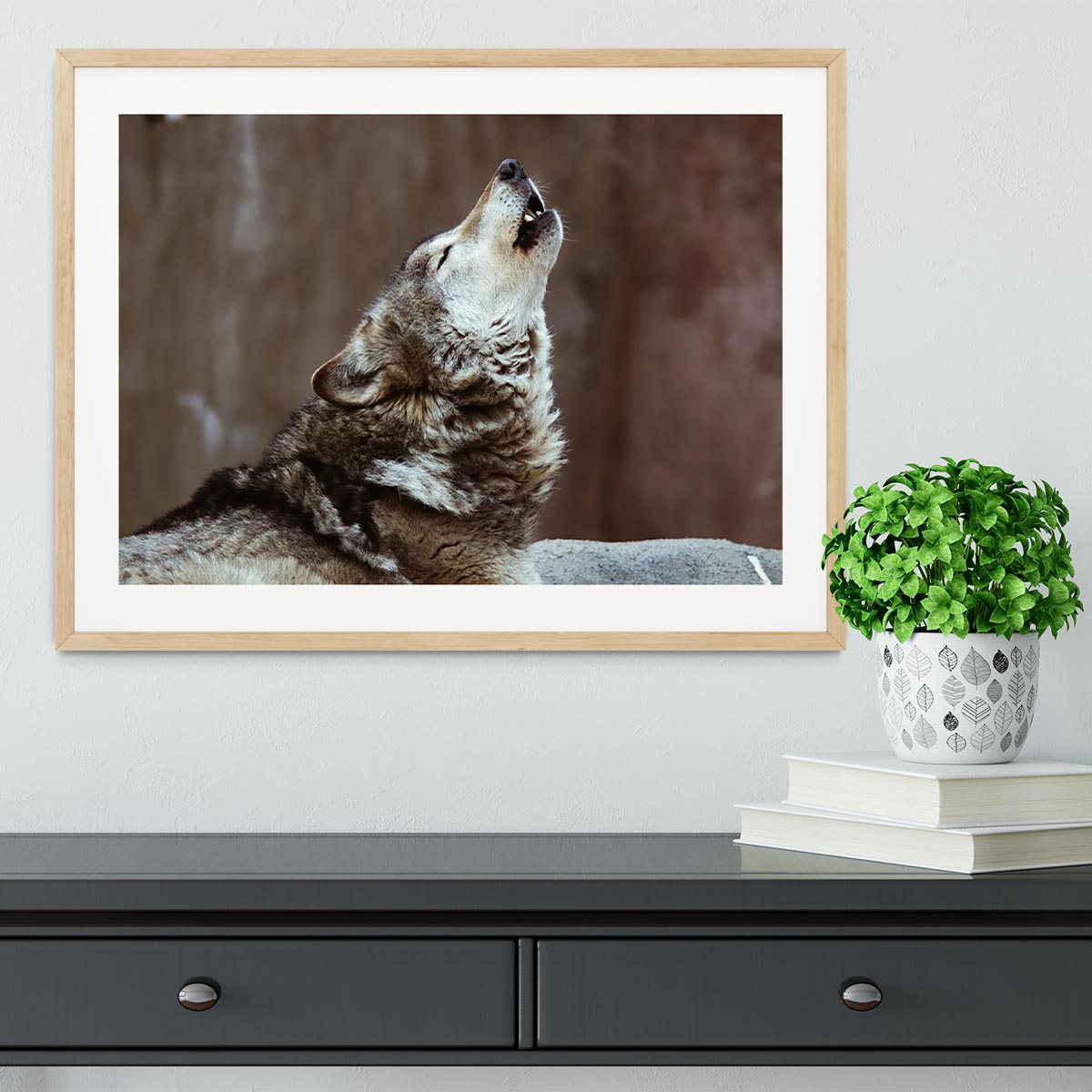 Wolves howl in Moscow Zoo Framed Print - Canvas Art Rocks - 3