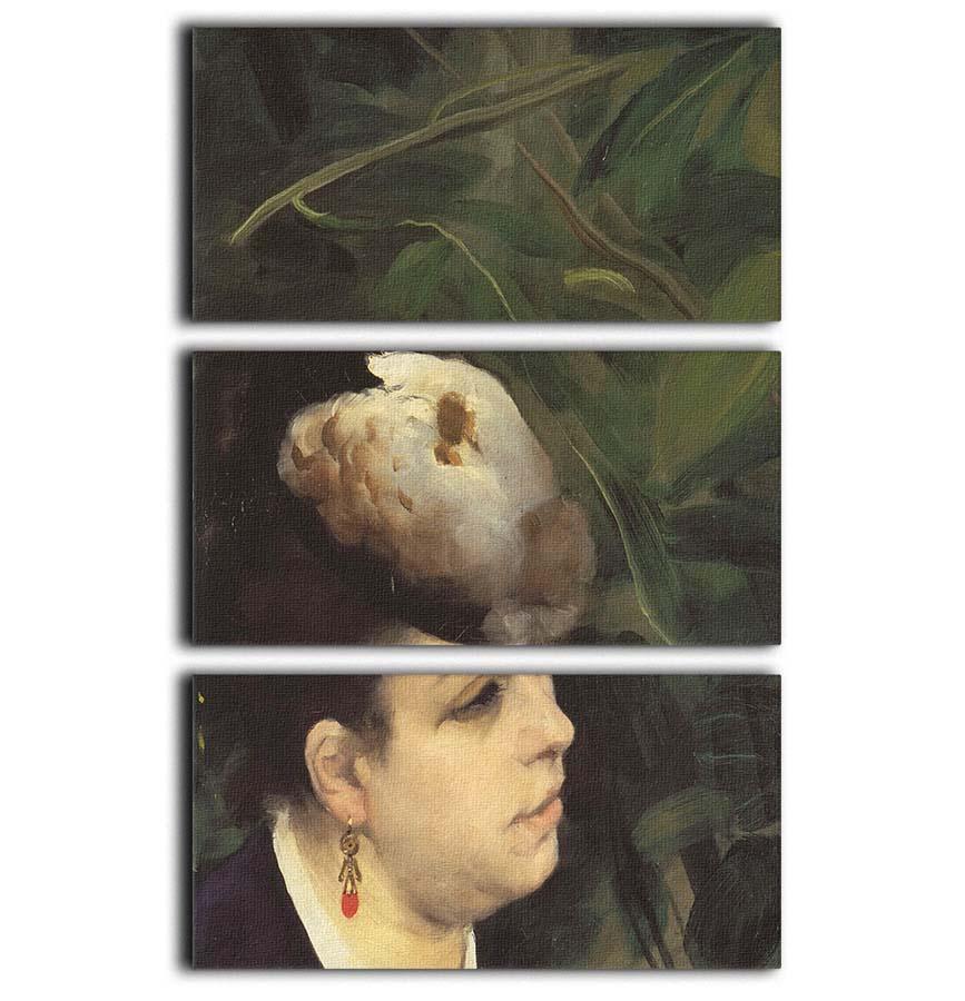 Woman with gull feathe Detail by Renoir 3 Split Panel Canvas Print - Canvas Art Rocks - 1