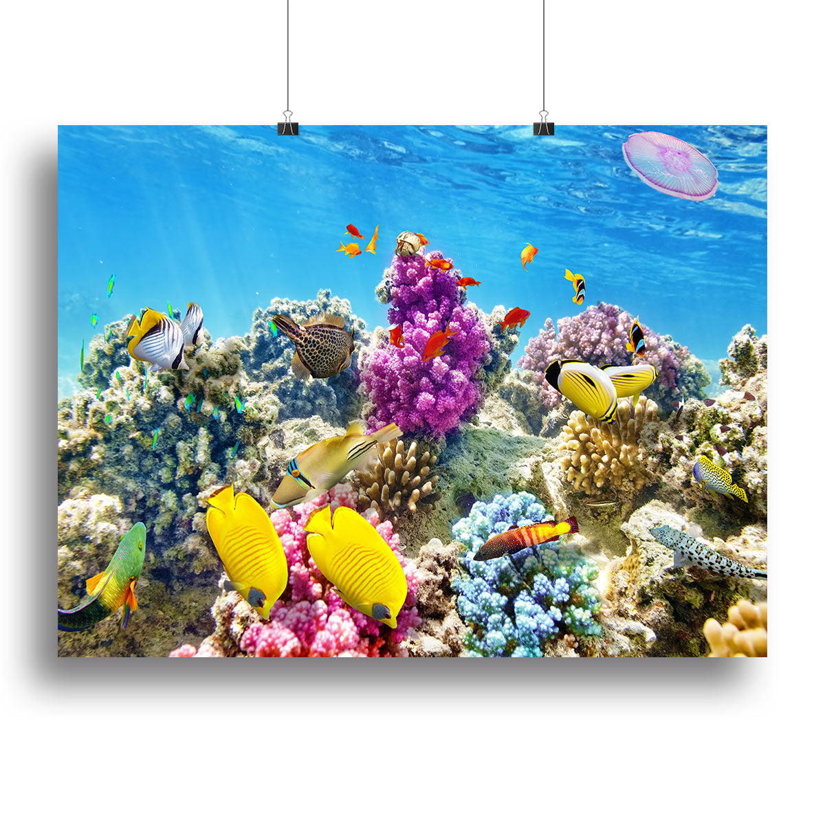Wonderful and beautiful underwater Canvas Print or Poster - Canvas Art Rocks - 2