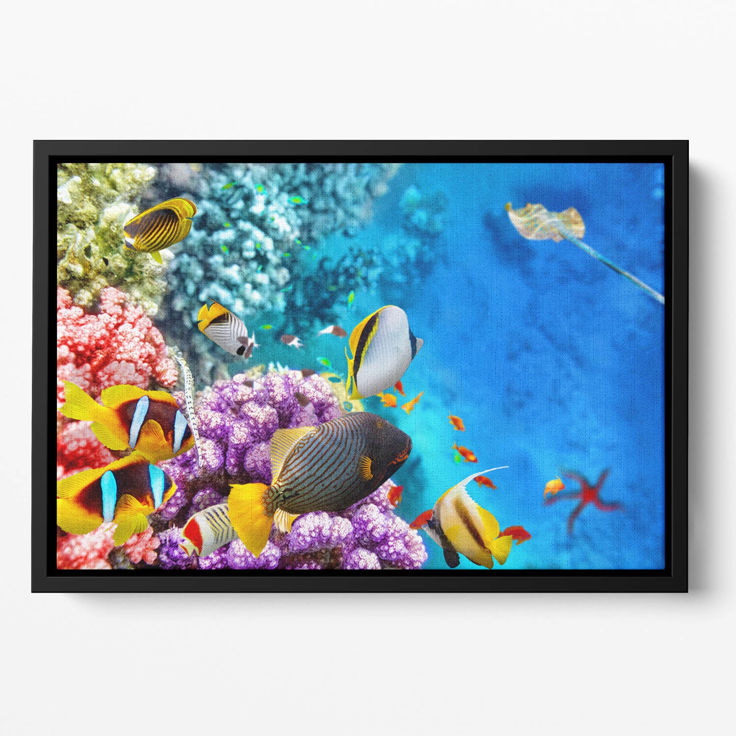 World with corals and tropical fish Floating Framed Canvas