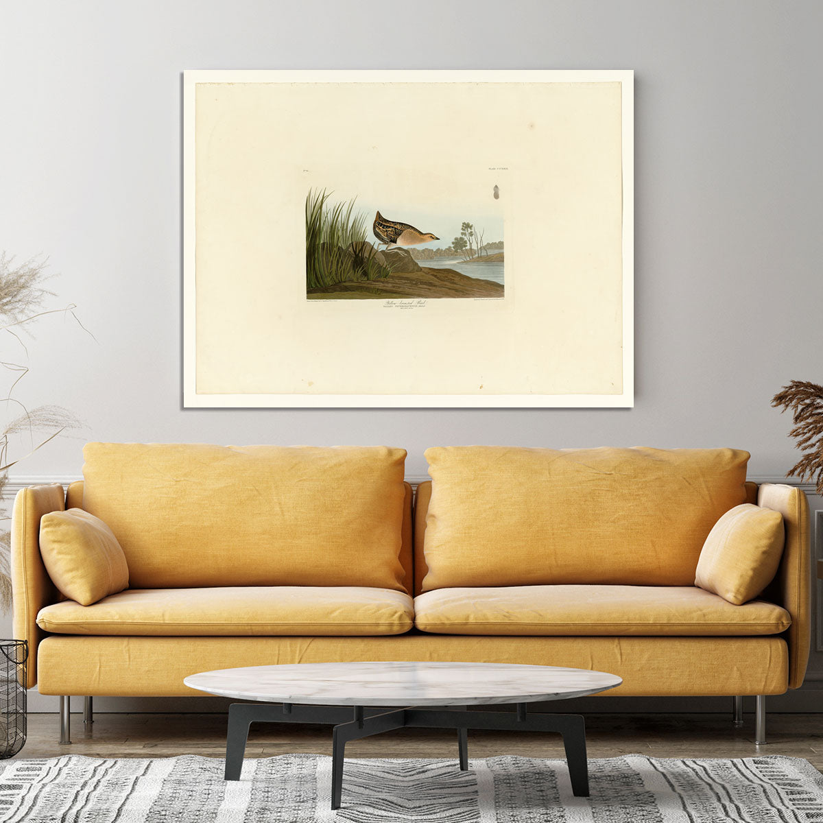 Yellow breasted Rail by Audubon Canvas Print or Poster - Canvas Art Rocks - 4