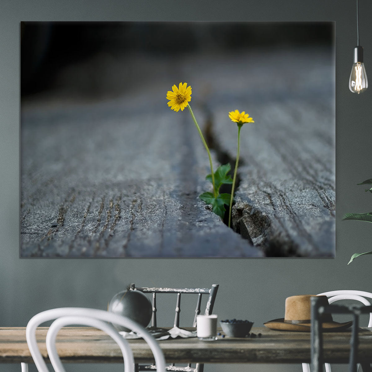 Yellow flower growing in street Canvas Print or Poster - Canvas Art Rocks - 3
