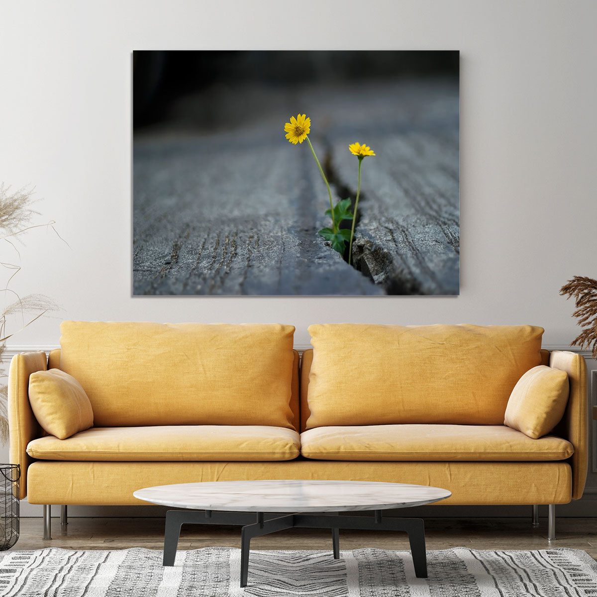 Yellow flower growing in street Canvas Print or Poster - Canvas Art Rocks - 4