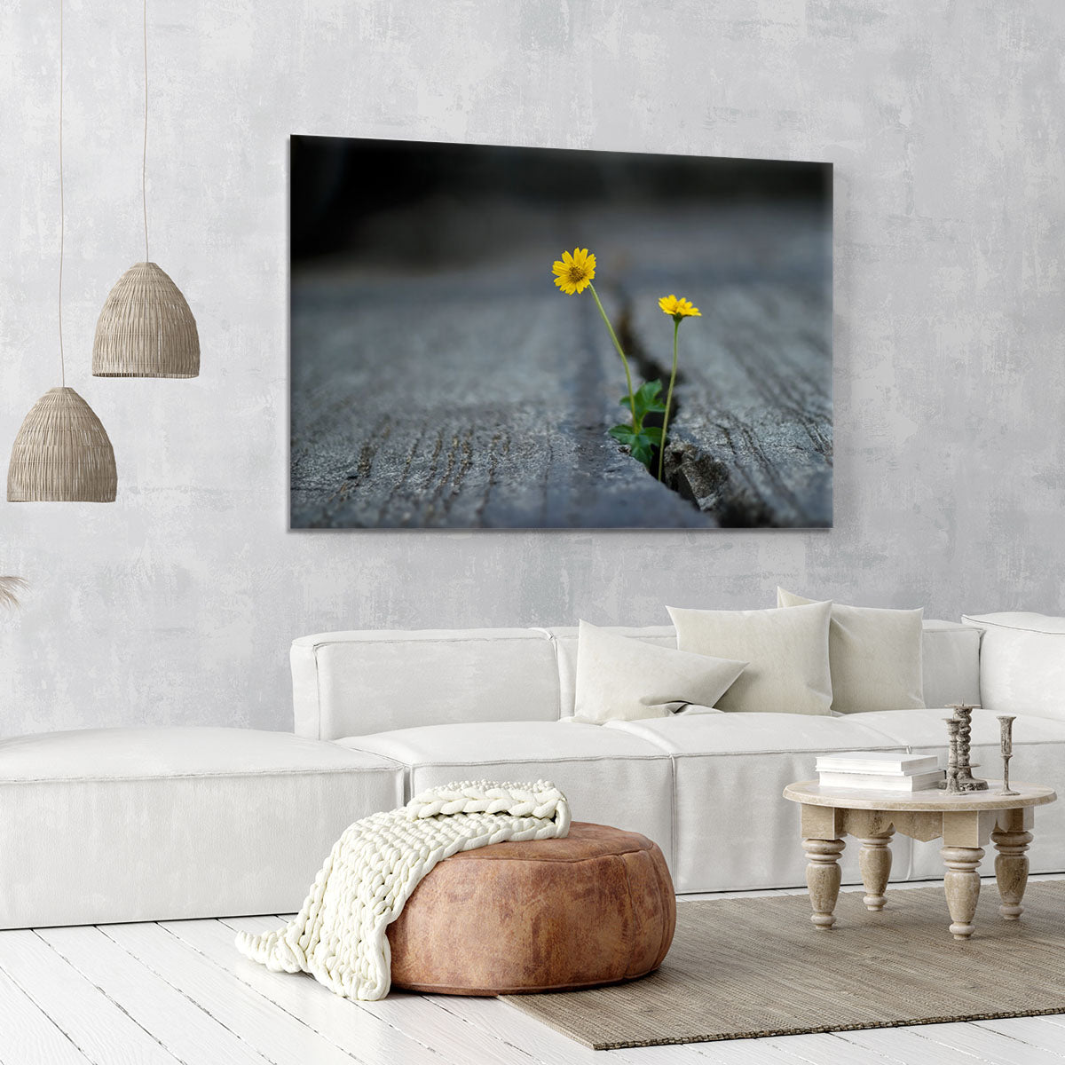 Yellow flower growing in street Canvas Print or Poster - Canvas Art Rocks - 6