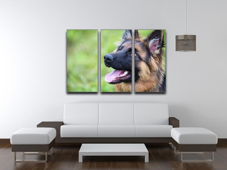 Young dog german shepherd on the grass in the park 3 Split Panel Canvas Print - Canvas Art Rocks - 3
